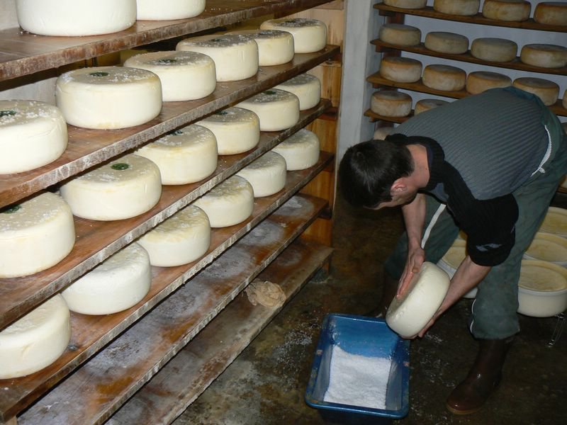 BlocImg/6_-_Salage._Le_gros_sel_assure_la_conservation_des_fromages_et_affine_leur_gout._5iFdUj4.JPG